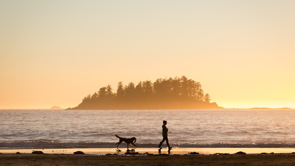 human dog walk on beach sunrise