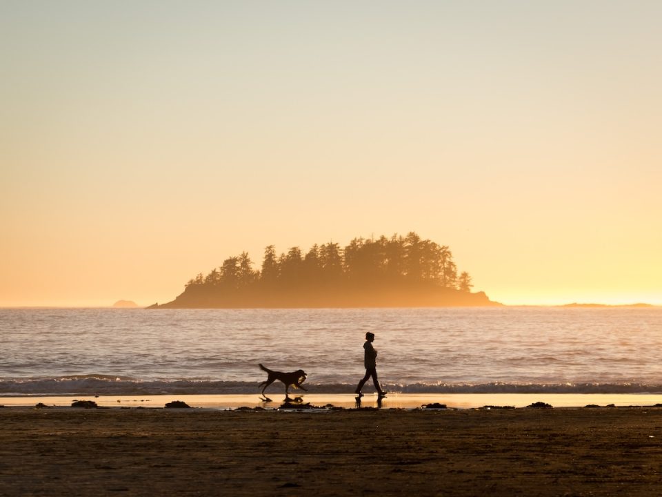 human dog walk on beach sunrise