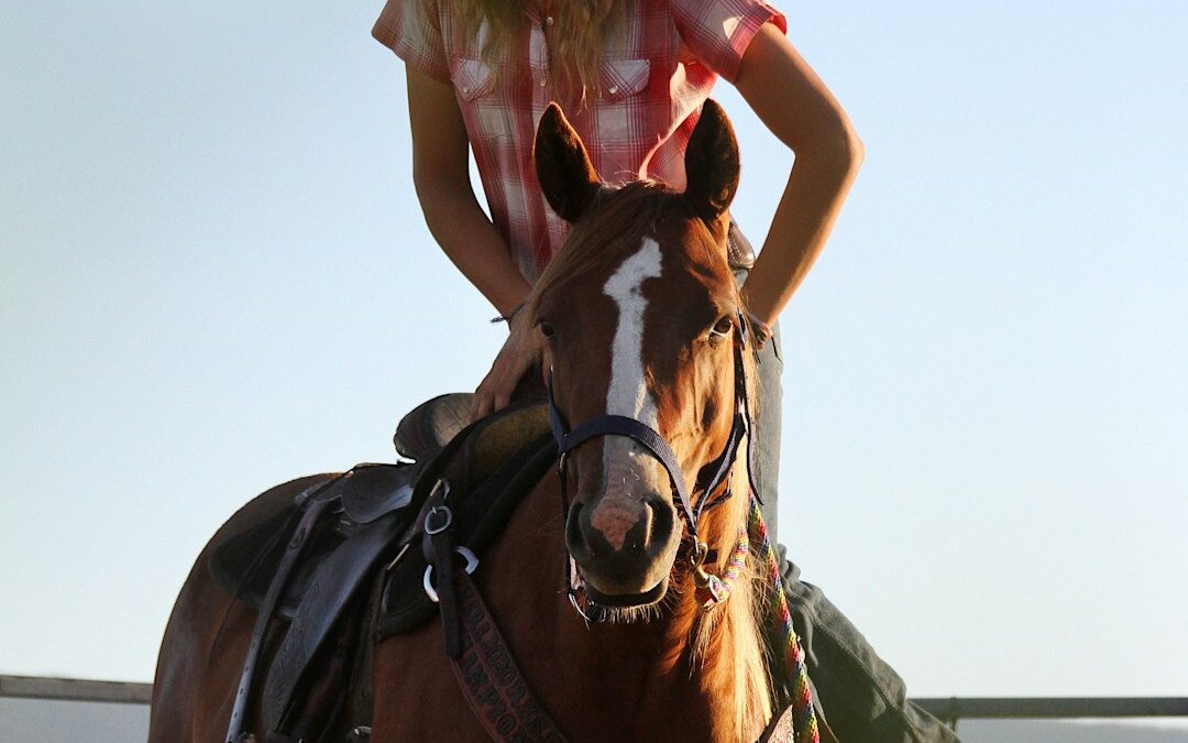 Cowgirl mounting a horse