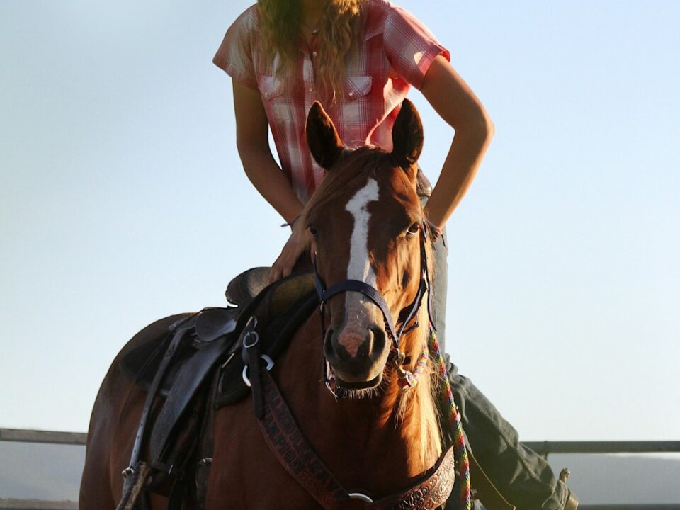 Cowgirl mounting a horse