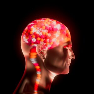 Brain and outrage